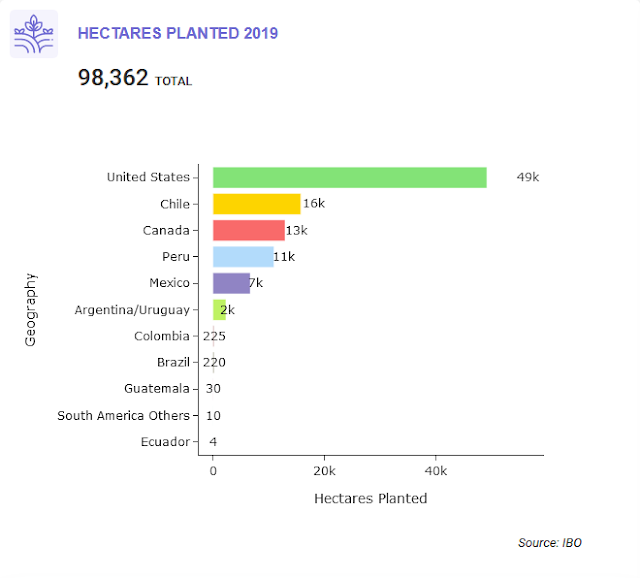 Hectares Planted 2019