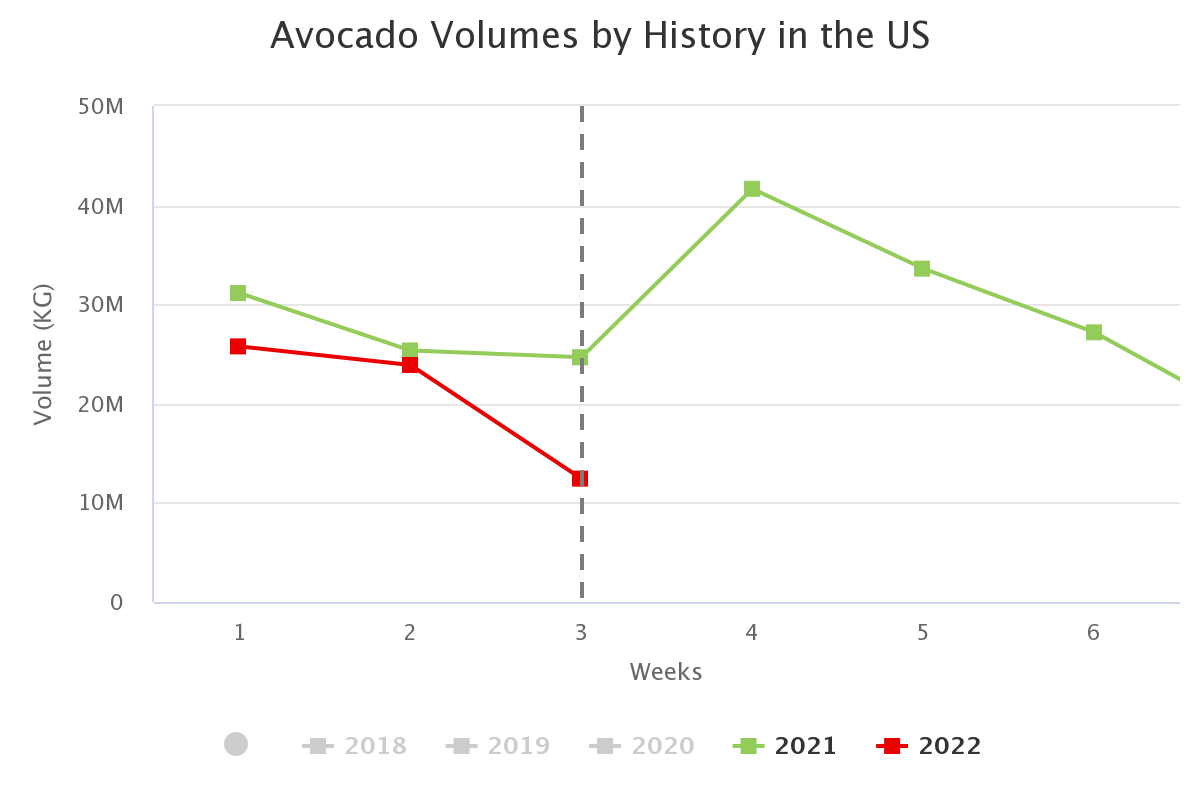 avocado volumes by history