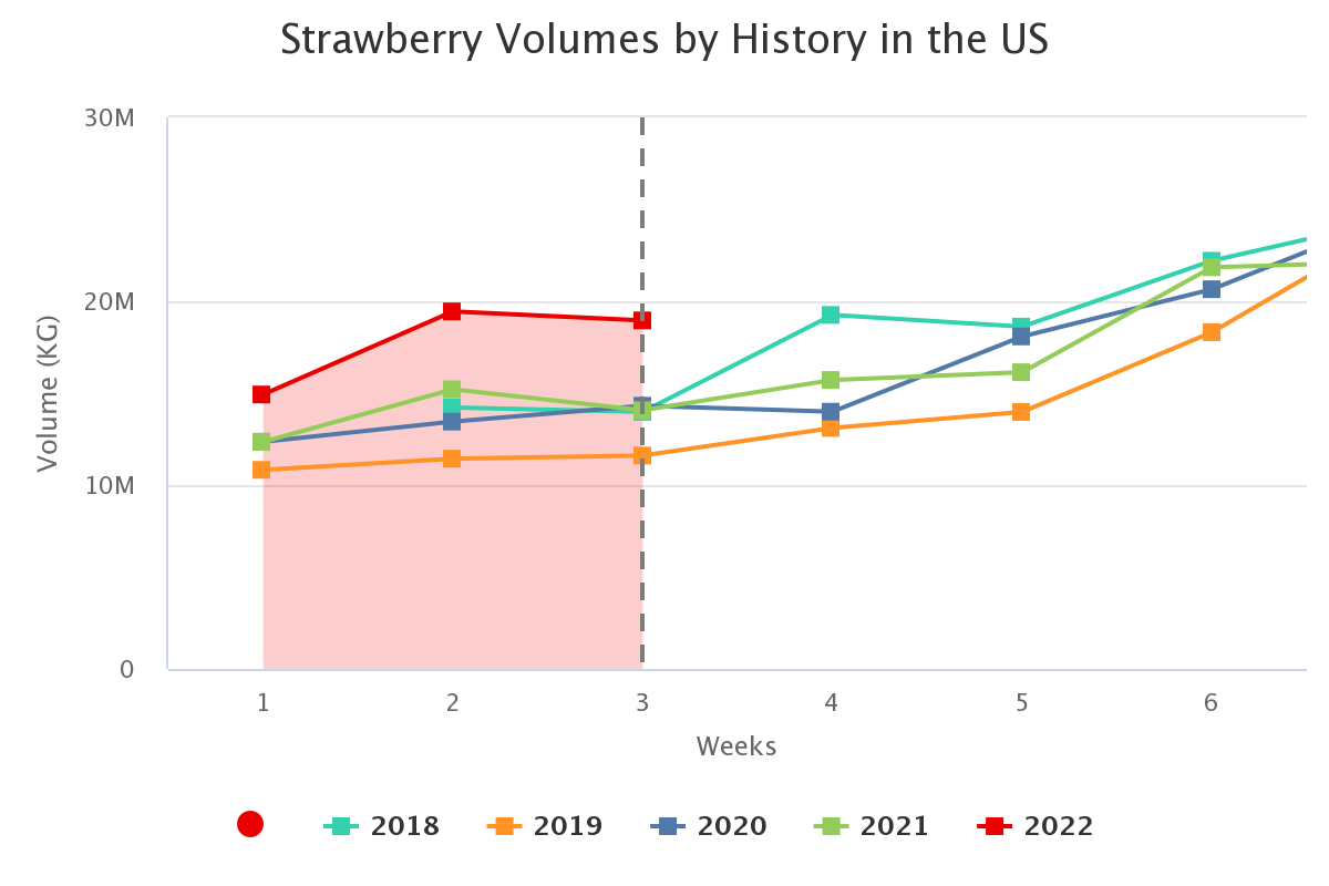 strawberry volumes by hi 1