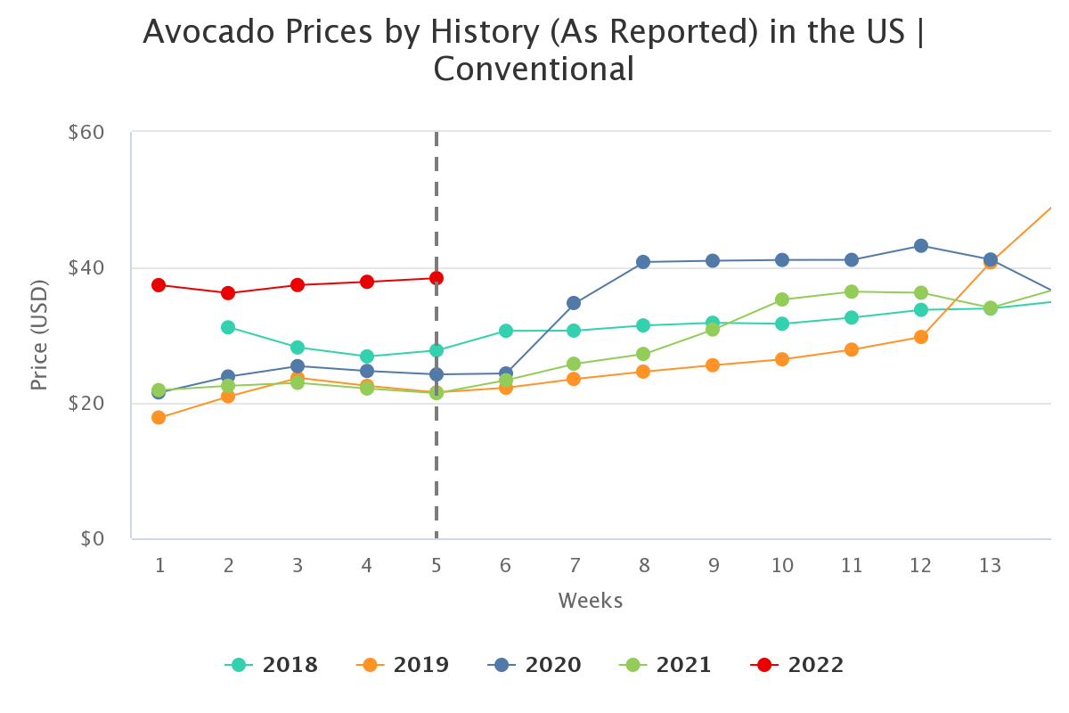 avocado prices by histor 2