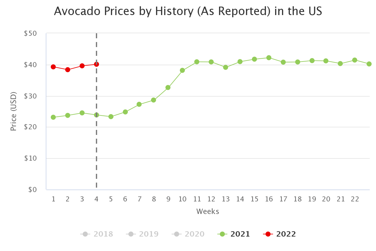 avocado prices by history