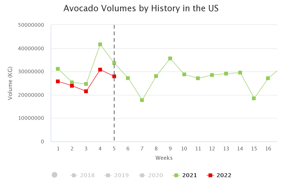 avocado volumes by histo 4