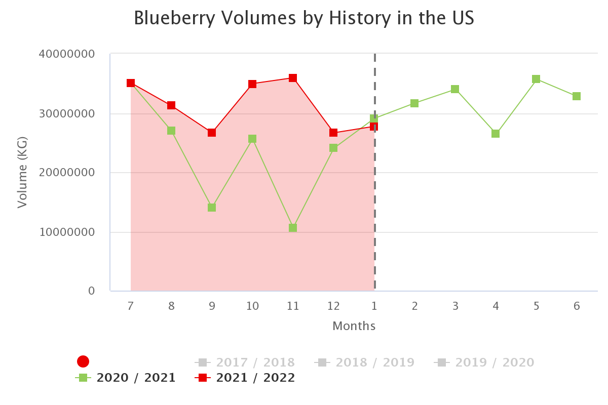 blueberry volumes by his 2