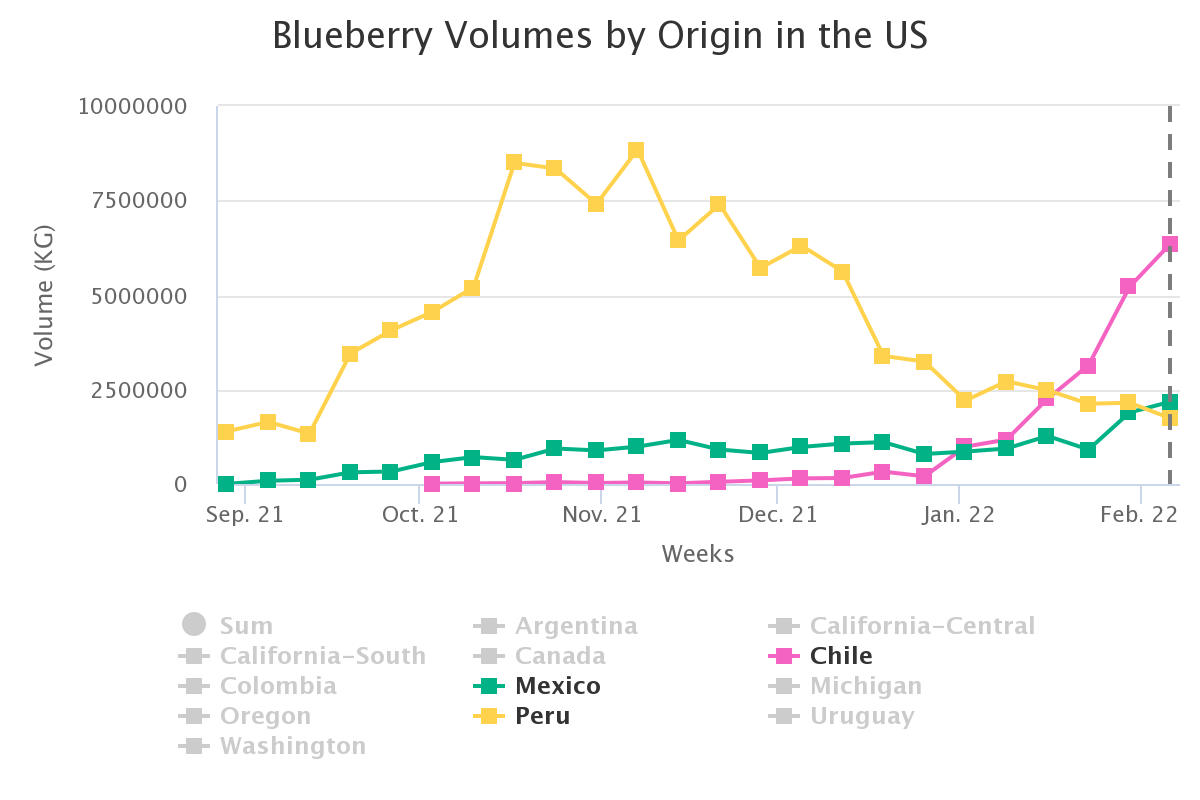 blueberry volumes by ori 1 1