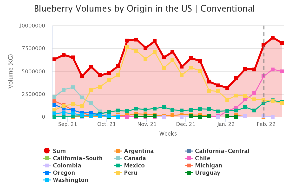 blueberry volumes by ori 2