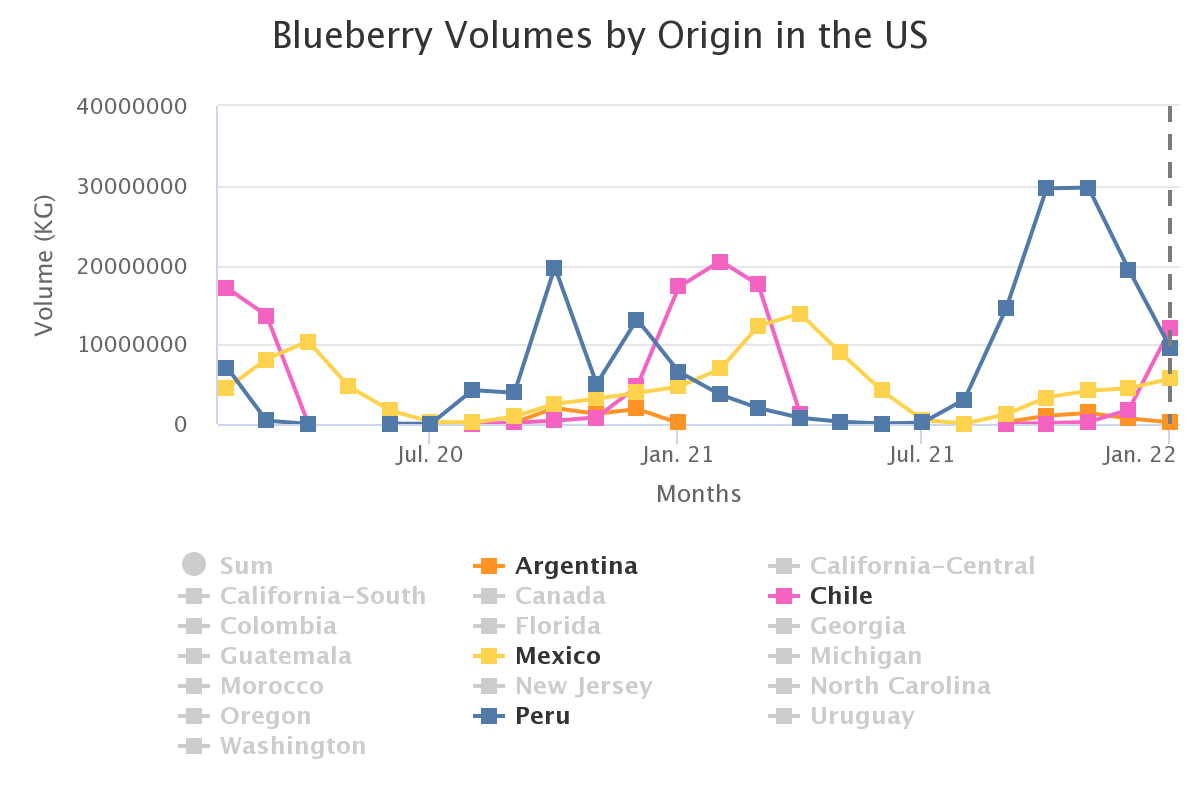 blueberry volumes by ori 8
