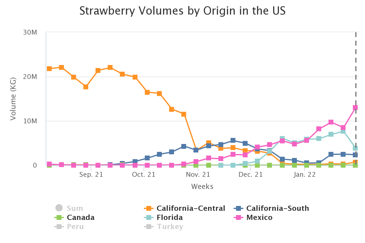 strawberry volumes by or 3