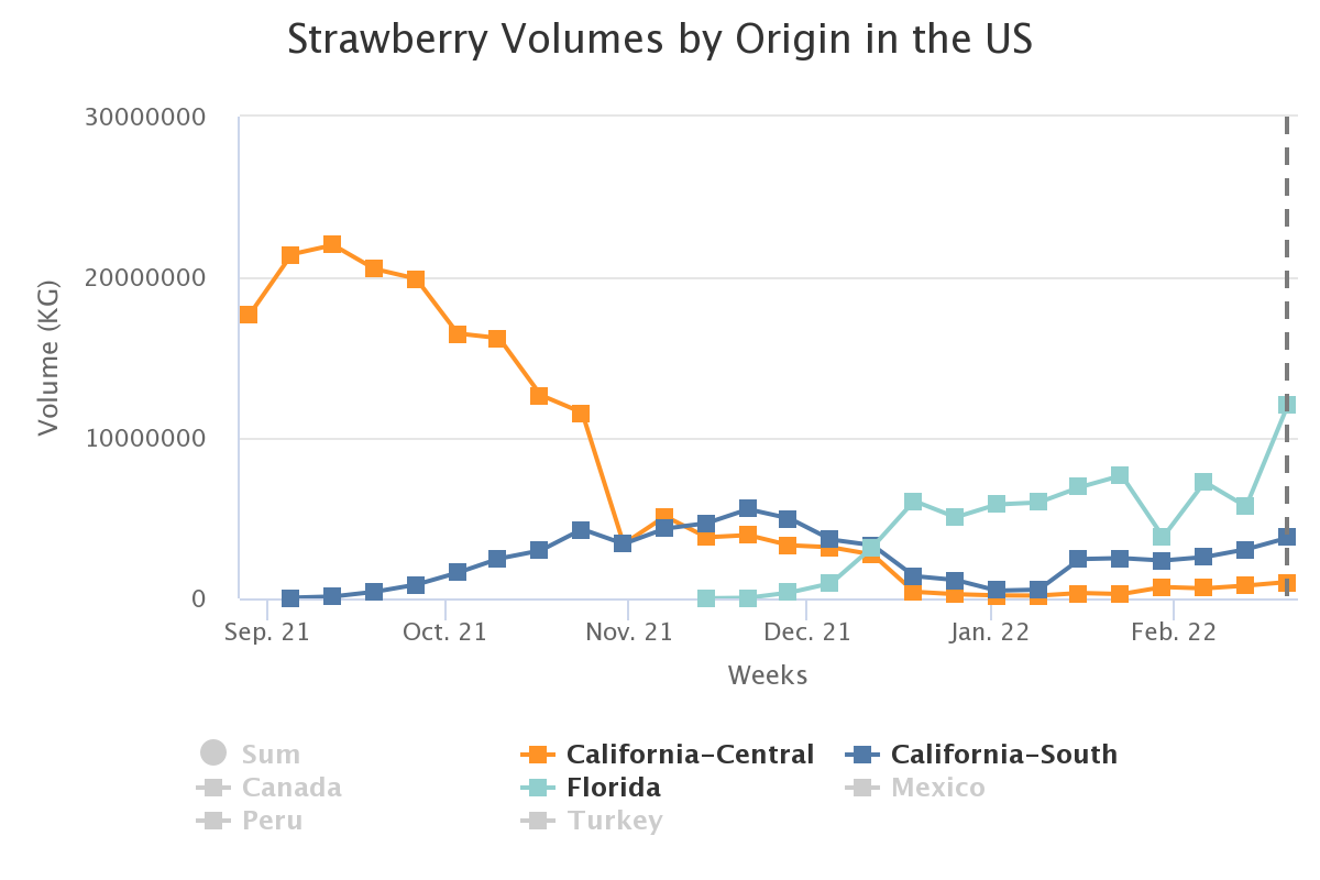 strawberry volumes by or 5