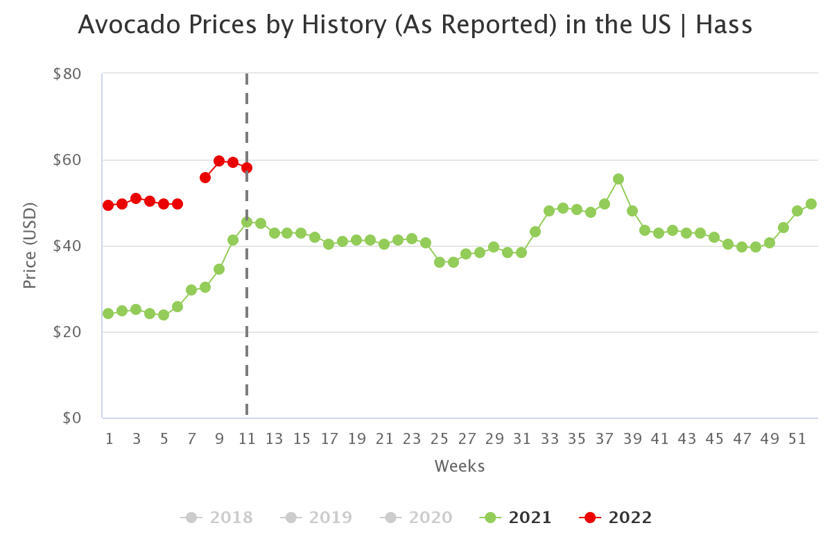 avocado prices by histor 8