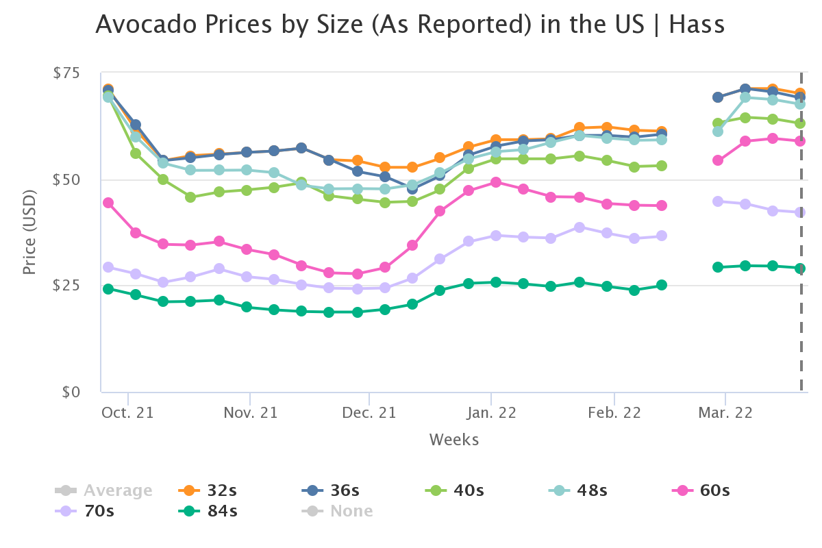 avocado prices by size a 1 1