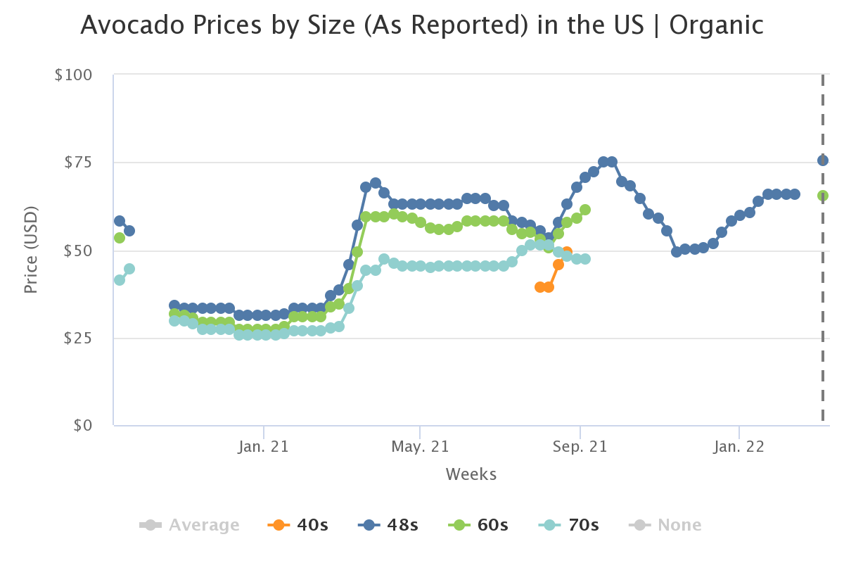 avocado prices by size a 1