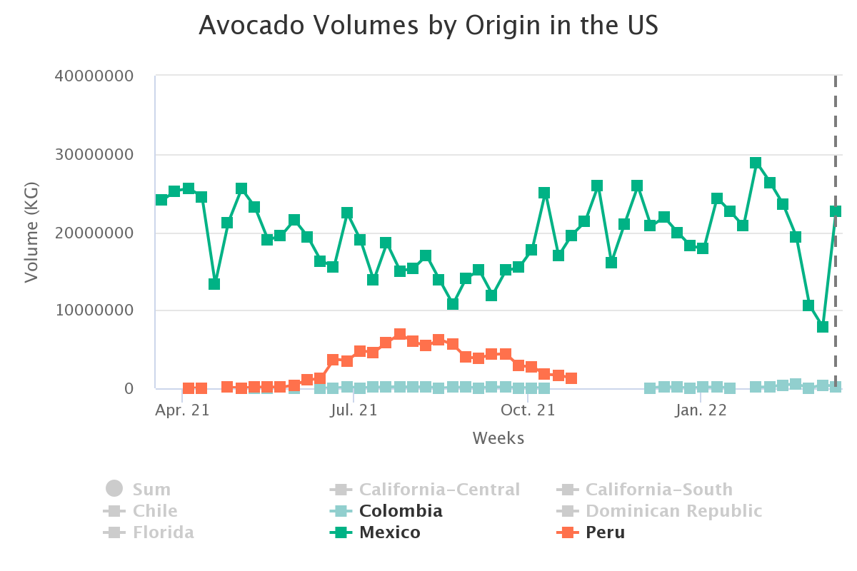 avocado volumes by origi 6