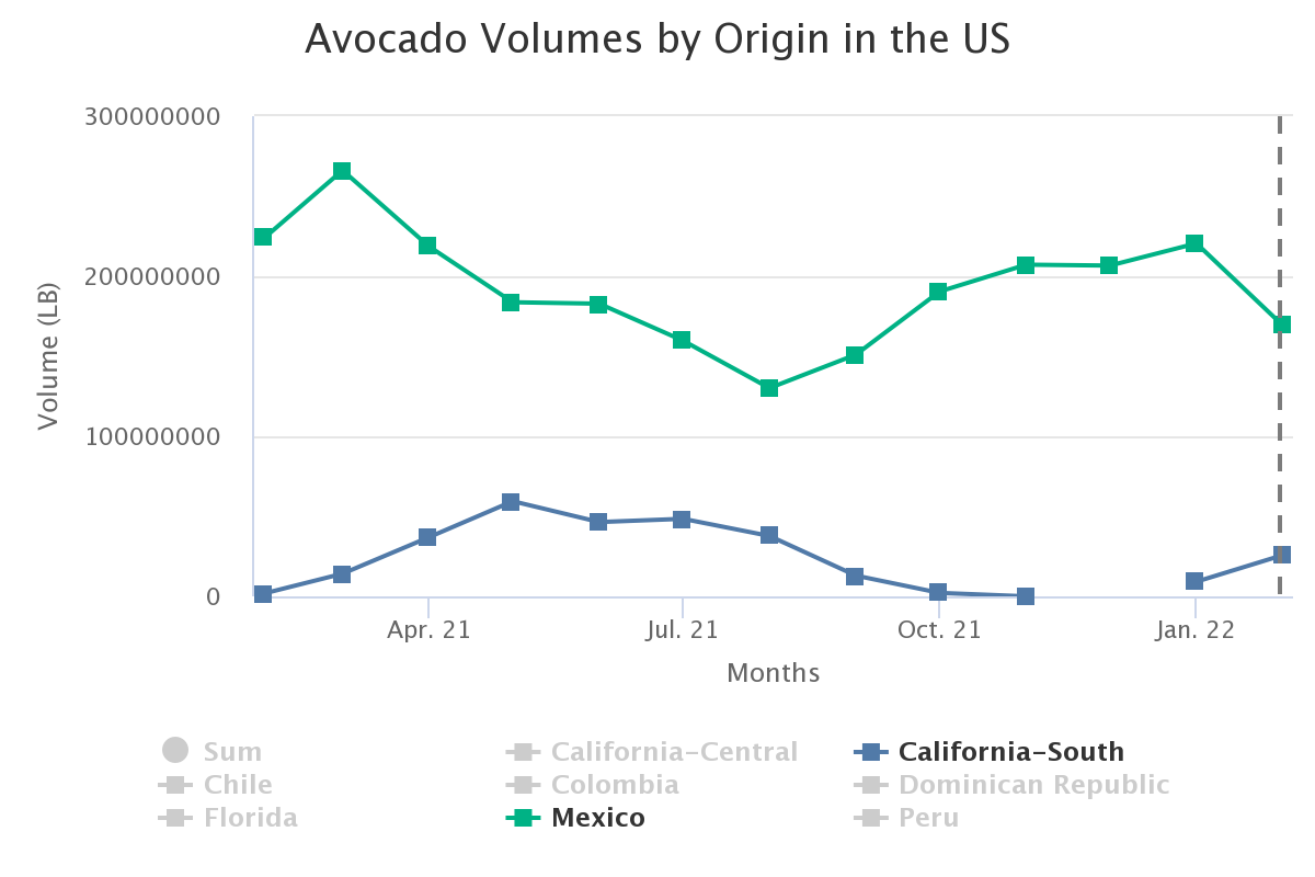 avocado volumes by origi 8