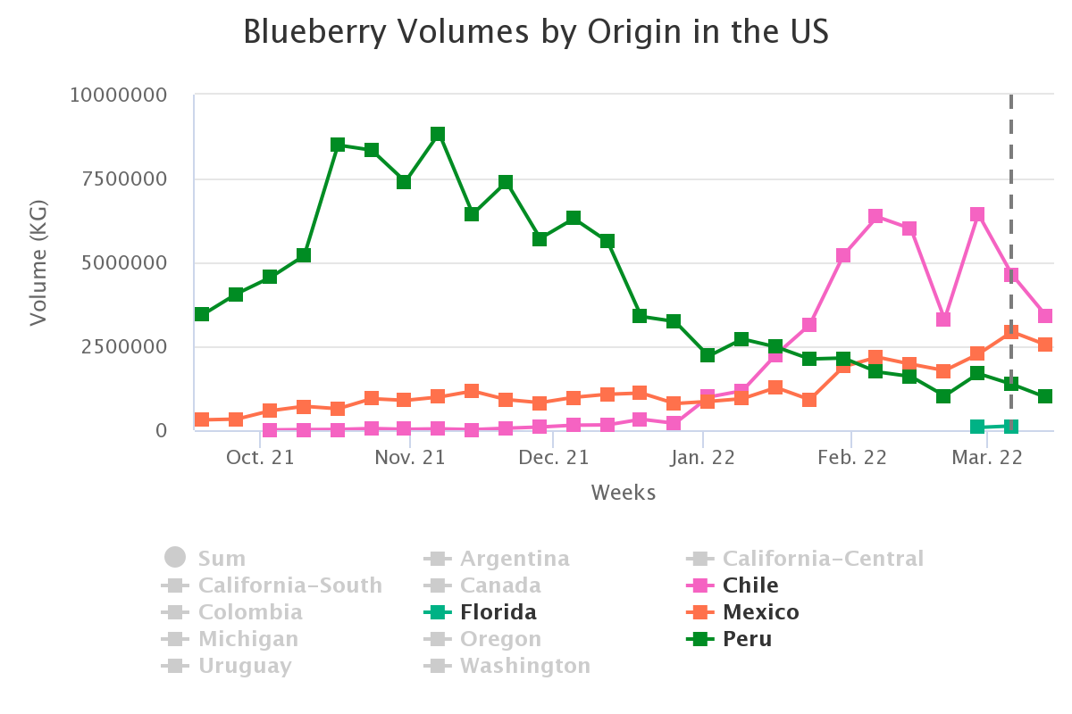 blueberry volumes by ori 1 2