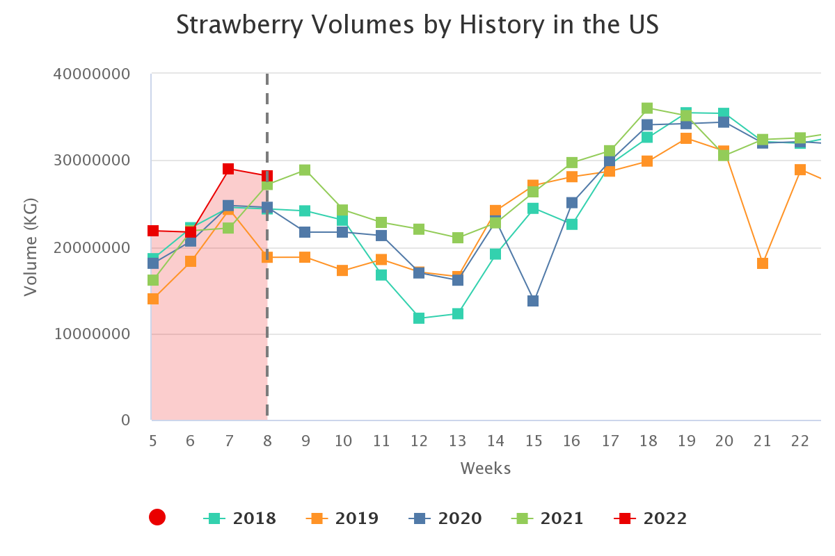 strawberry volumes by hi 11