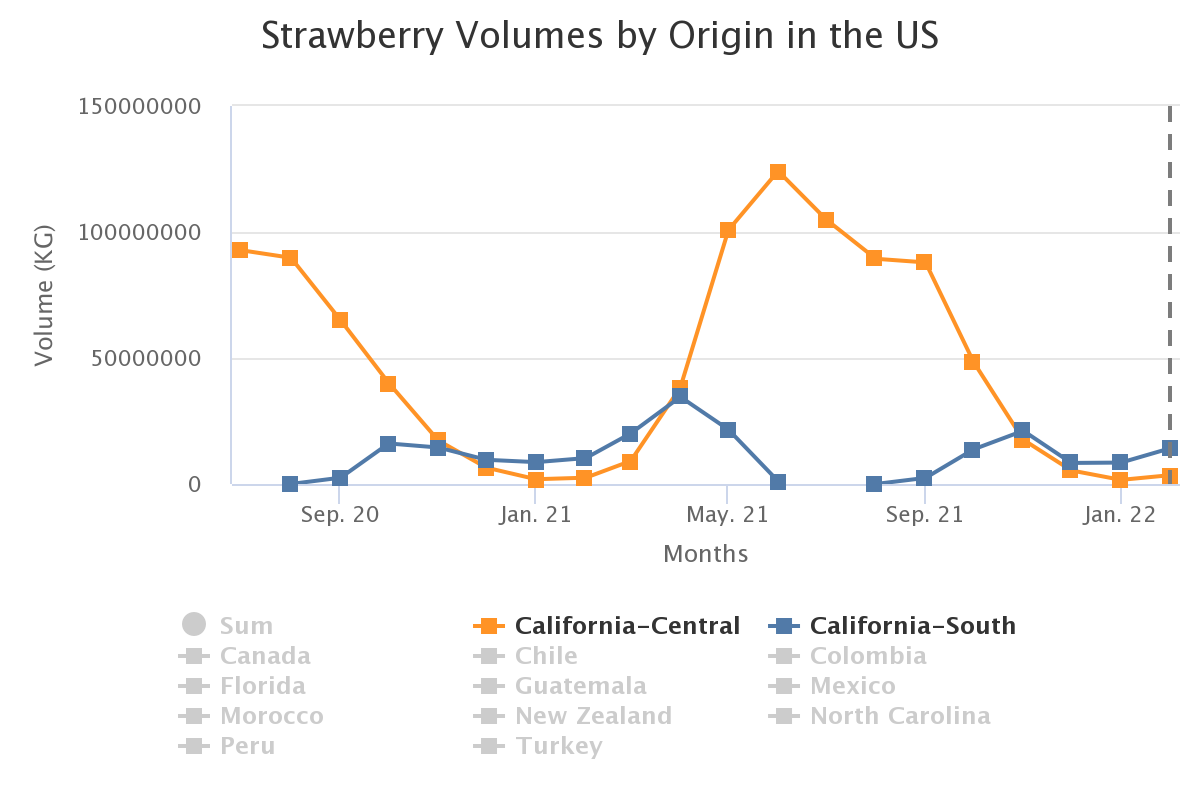 strawberry volumes by or 12