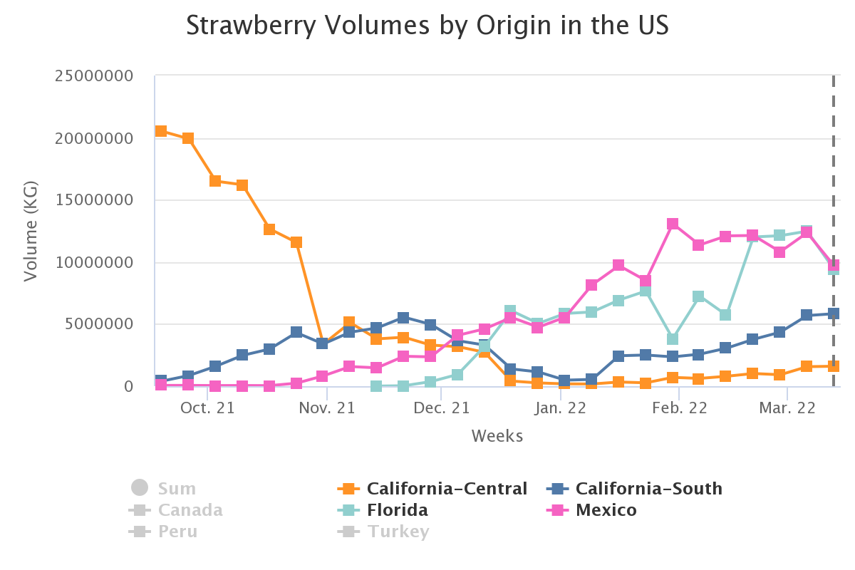 strawberry volumes by or 3 1