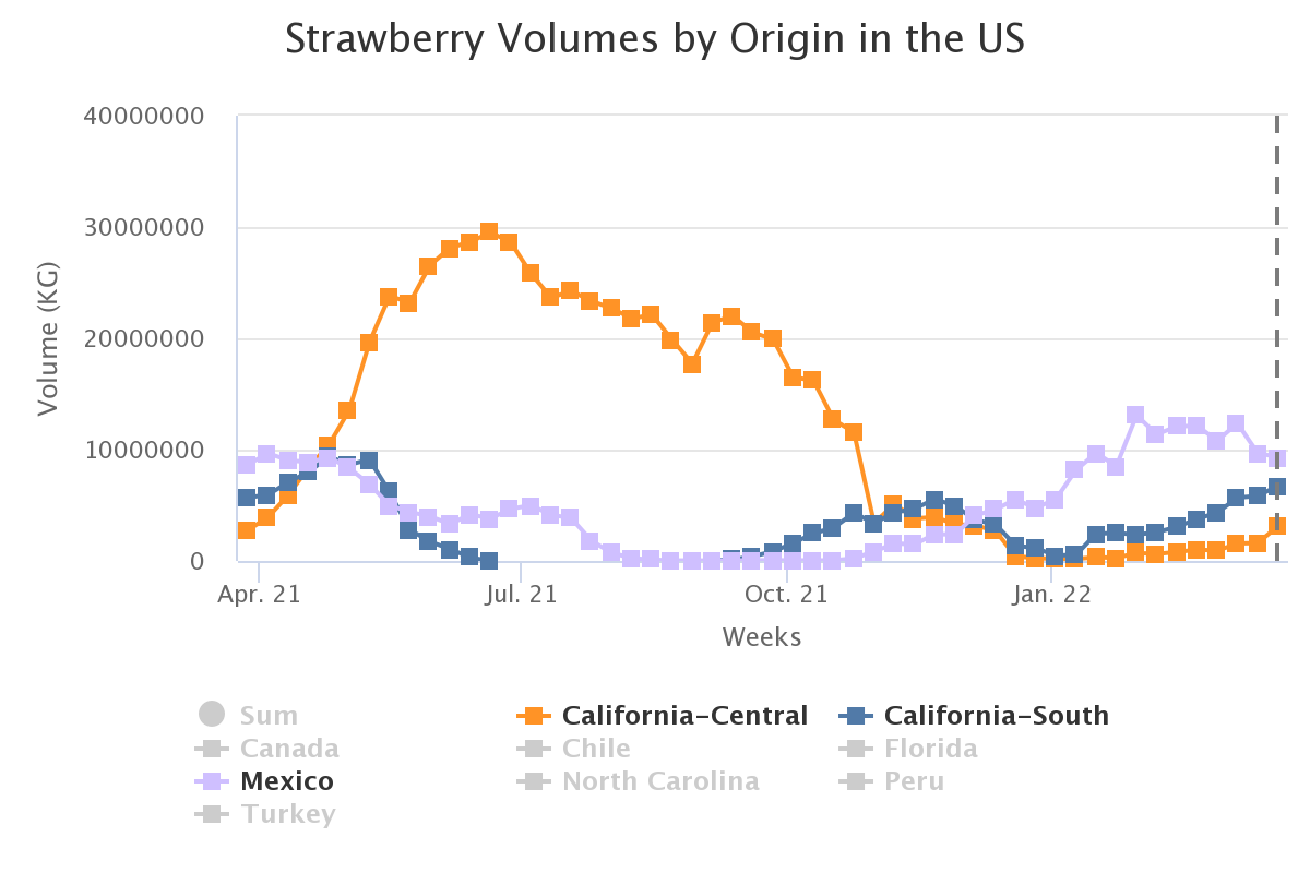 strawberry volumes by or 9