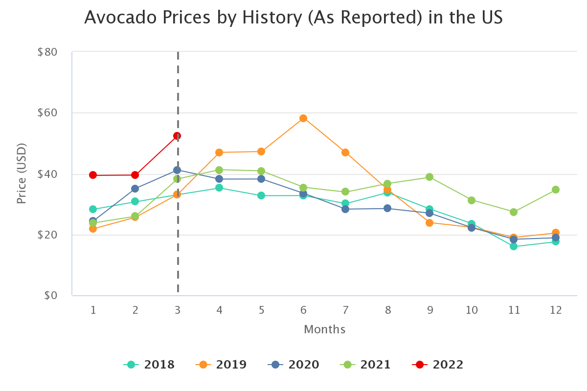 avocado prices by histor 5