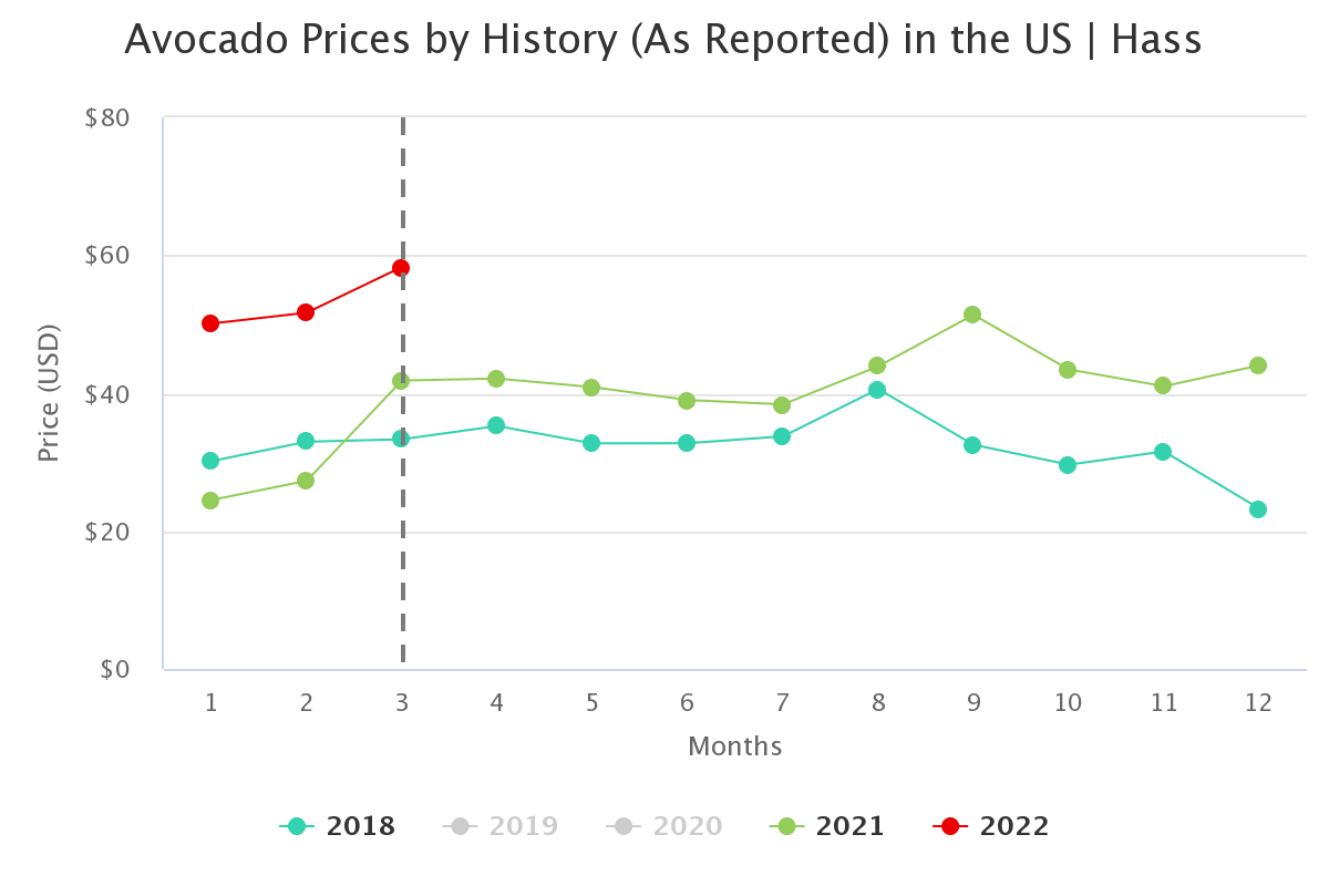 avocado prices by histor 7
