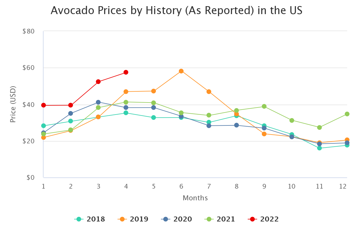 avocado prices by histor 12