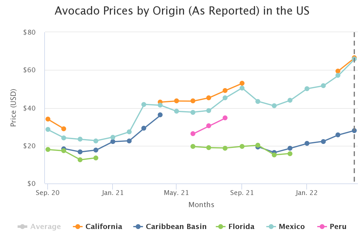 avocado prices by origin 2