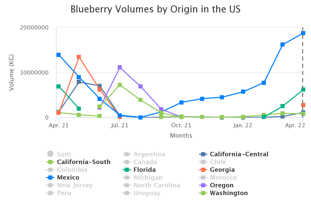 blueberry volumes by ori 13
