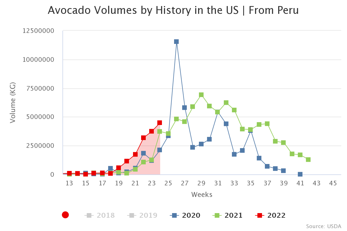 avocado volumes by histo 53