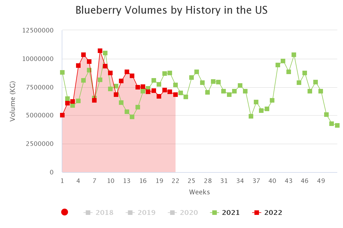 blueberry volumes by his 20