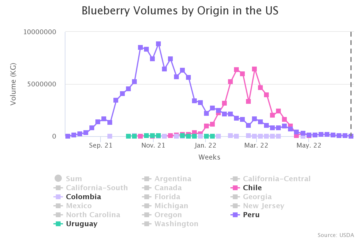 blueberry volumes by ori 29