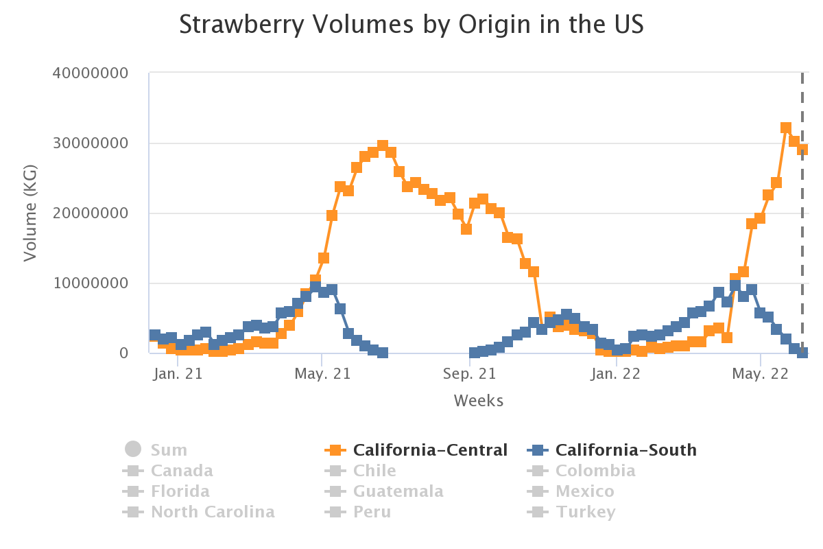 strawberry volumes by or 18