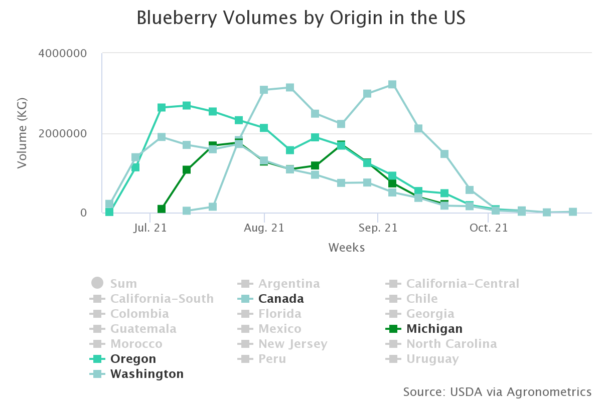 blueberry volumes by ori 33