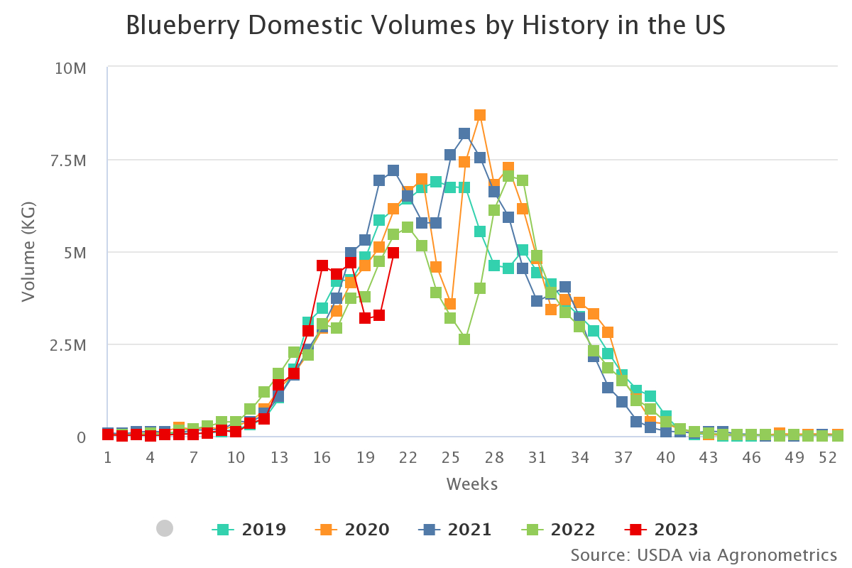 blueberry domestic volum