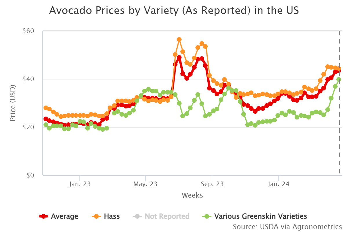 avocado prices by variet