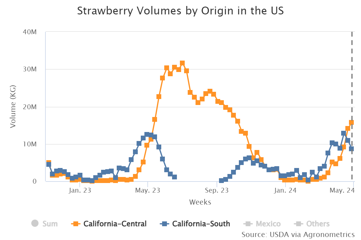 strawberry volumes by or 1