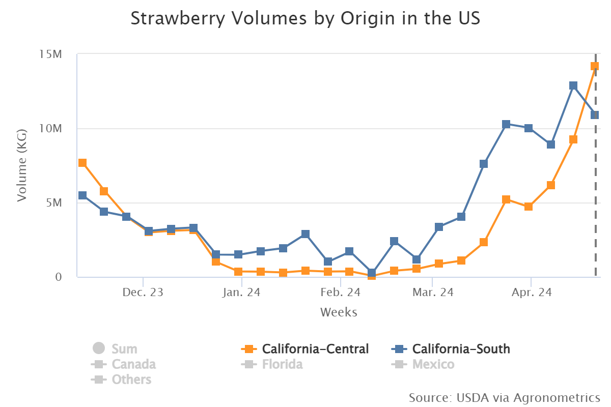 strawberry volumes by or