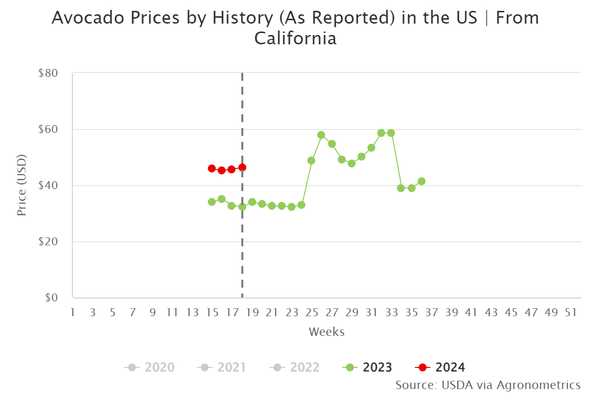 avocado prices by histor