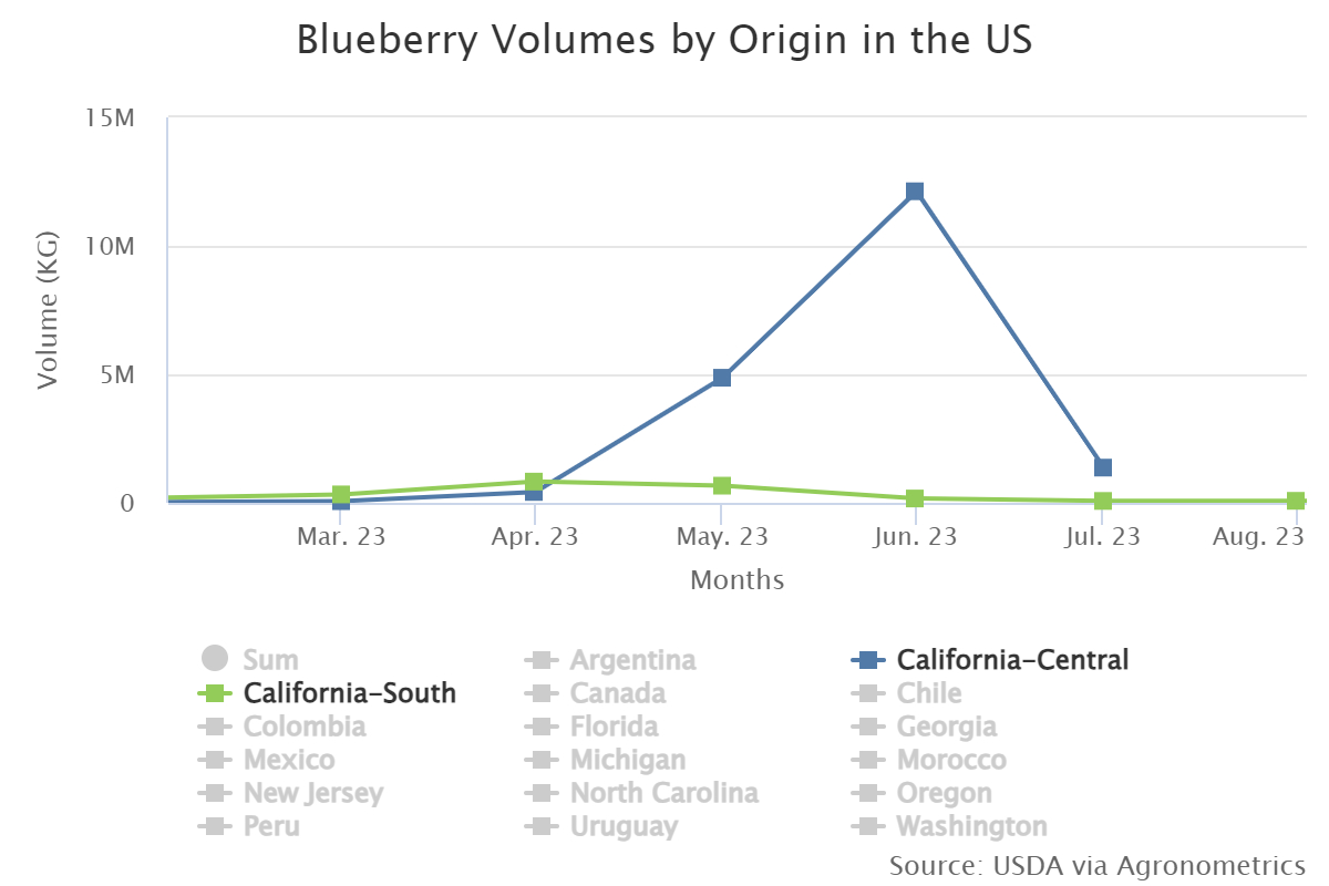 blueberry volumes by ori