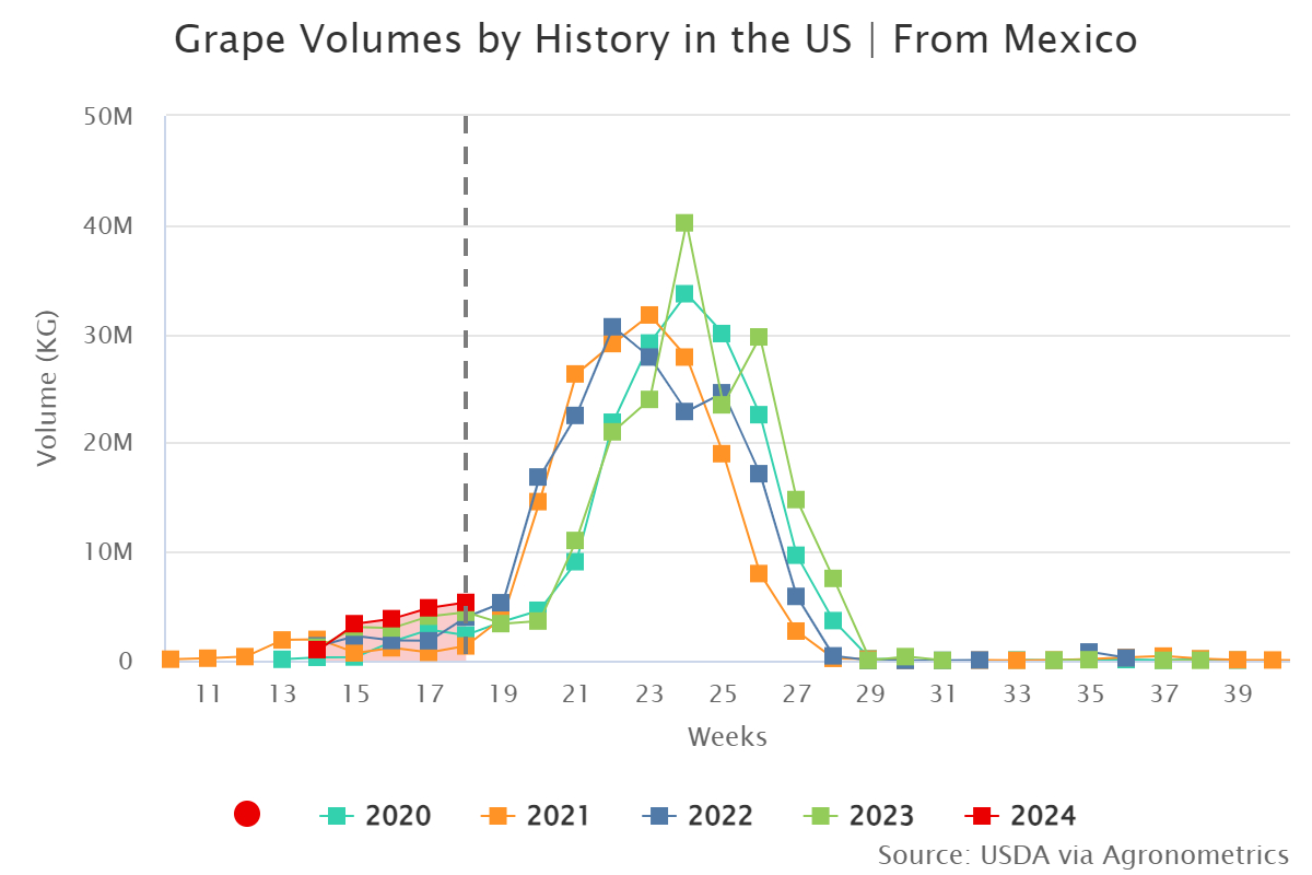 grape volumes by history